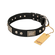 "Pirates Gold" FDT Artisan Black Leather Mastiff Collar with Old Silver Look Plates and Skulls "Pirates Gold" FDT Artisan Black Leather Mastiff Collar with Old Silver Look Plates and Skulls