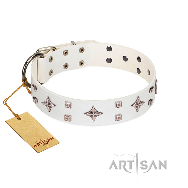 Impressive genuine leather collar for your pet everyday walking
