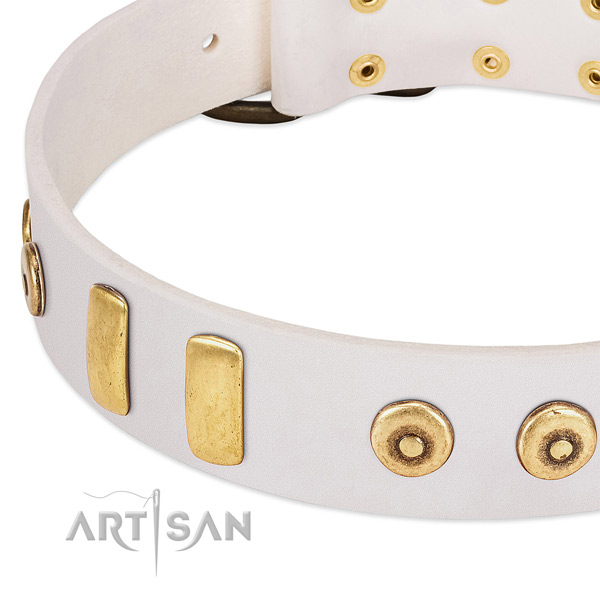 Soft to touch full grain genuine leather collar with incredible decorations for your dog