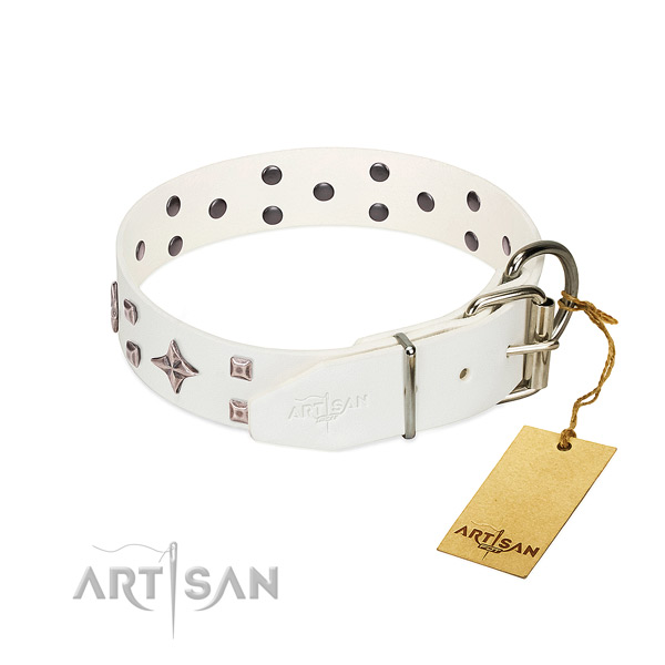 Stunning genuine leather collar for your pet stylish walking