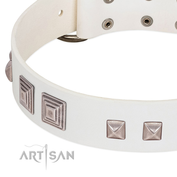 Leather dog collar with rust-proof buckle