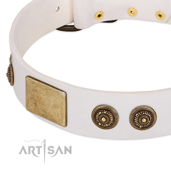 Unique dog collar made for your handsome dog