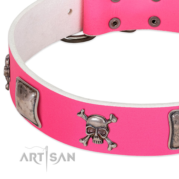 Rust resistant embellishments on genuine leather dog collar