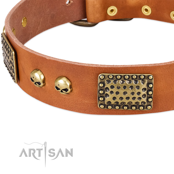 Rust resistant studs on genuine leather dog collar for your four-legged friend