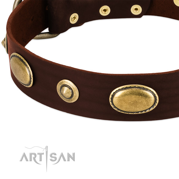 Corrosion resistant D-ring on natural leather dog collar for your dog