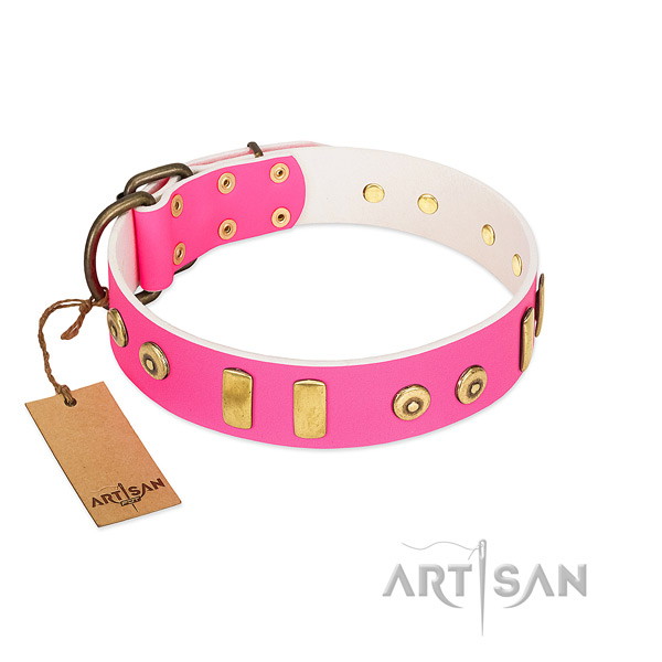 Genuine leather dog collar with top notch embellishments for comfortable wearing