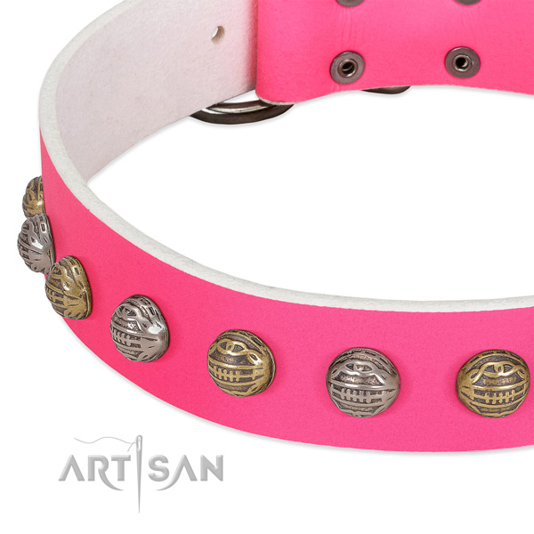 Rust-proof fittings on genuine leather collar for basic training your four-legged friend