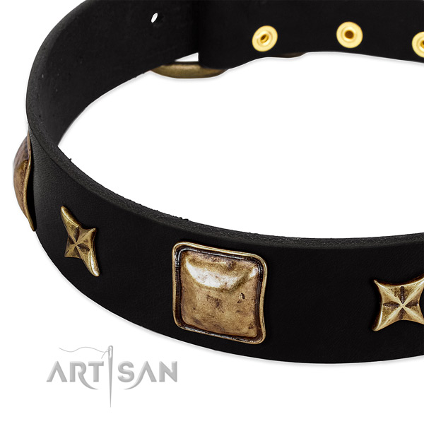 Leather dog collar with amazing adornments