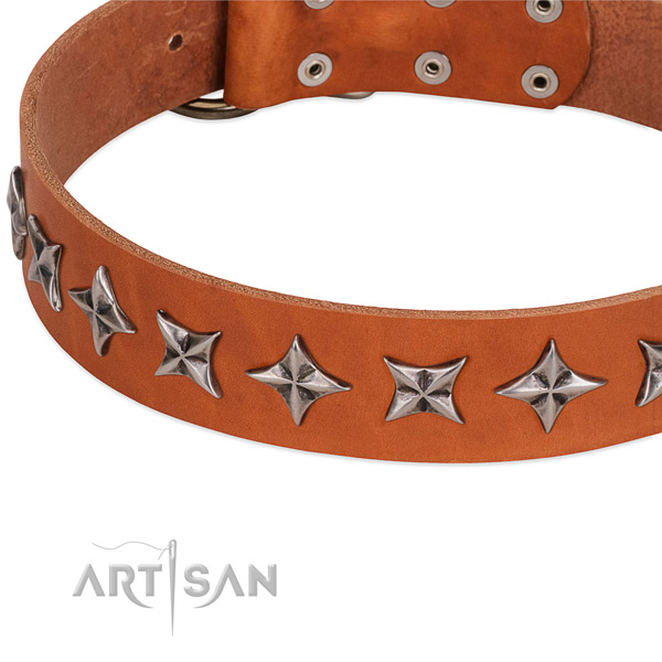 Basic training decorated dog collar of top notch full grain natural leather