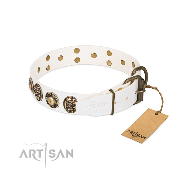 Durable embellishments on comfy wearing dog collar
