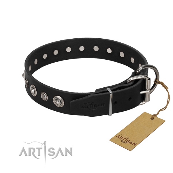 Durable leather dog collar with inimitable adornments