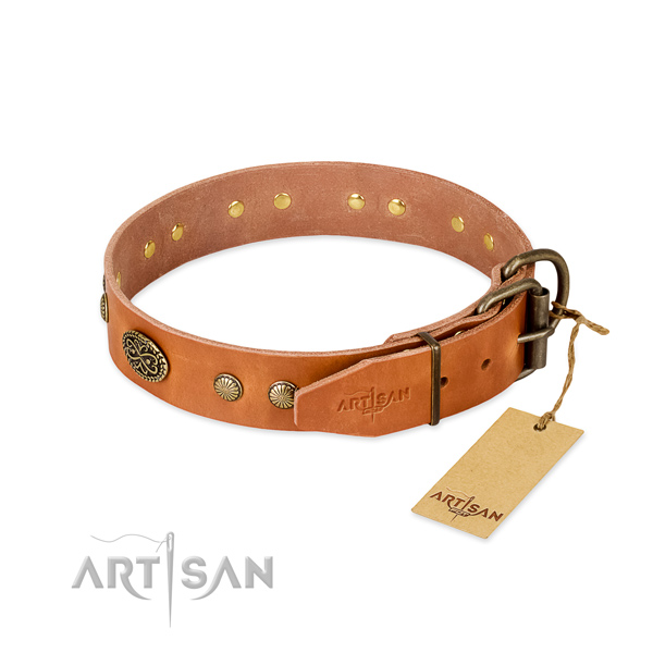 Reliable studs on Genuine leather dog collar for your doggie