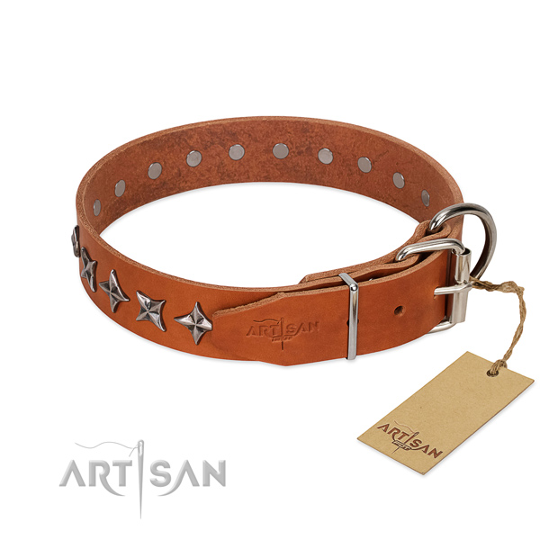 Everyday walking decorated dog collar of reliable leather