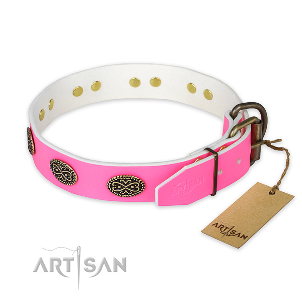 Stylish walking full grain natural leather collar with embellishments for your dog
