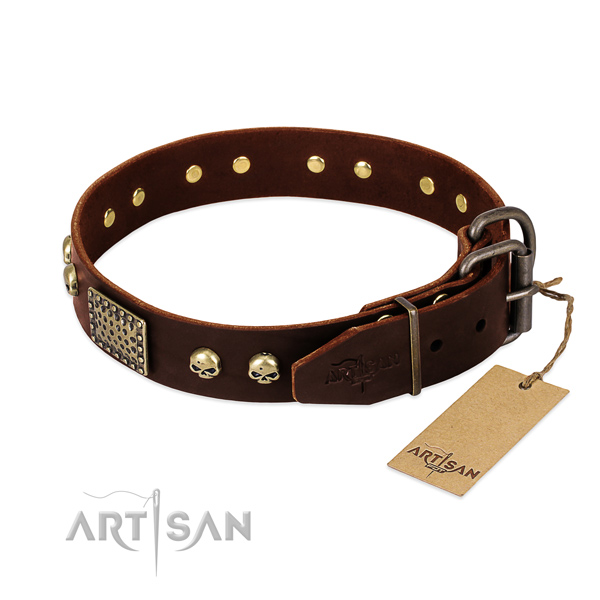 Durable hardware on daily walking dog collar