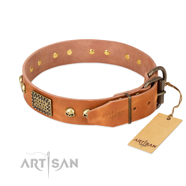 Rust-proof embellishments on everyday use dog collar