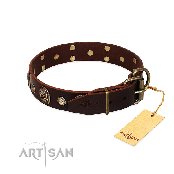 Strong adornments on stylish walking dog collar