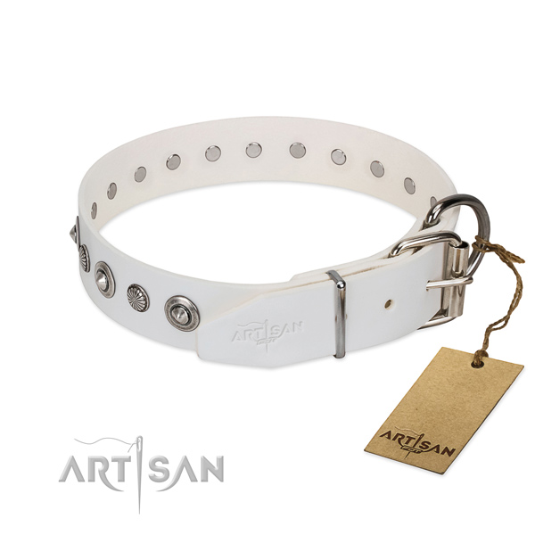 Top notch full grain natural leather dog collar with top notch embellishments