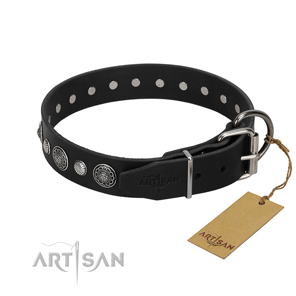 Finest quality full grain leather dog collar with stylish design embellishments