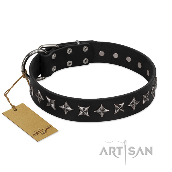 Comfortable wearing dog collar of high quality natural leather with adornments