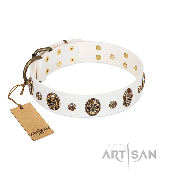 Exquisite full grain leather collar for your pet