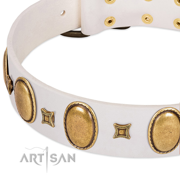 Leather dog collar with decorations for everyday walking