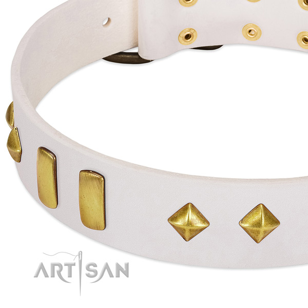 Everyday walking genuine leather dog collar with stylish design studs