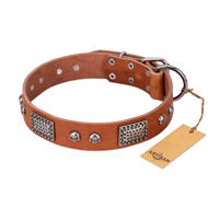 "Sparkling Skull" FDT Artisan Tan Leather Mastiff Collar with Old Silver Look Plates and Skulls "Sparkling Skull" FDT Artisan Tan Leather Mastiff Collar with Old Silver Look Plates and Skulls