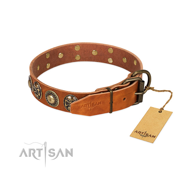 Corrosion proof decorations on everyday walking dog collar