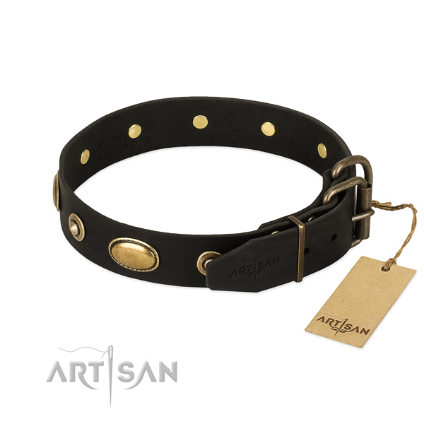Rust-proof adornments on genuine leather dog collar for your doggie