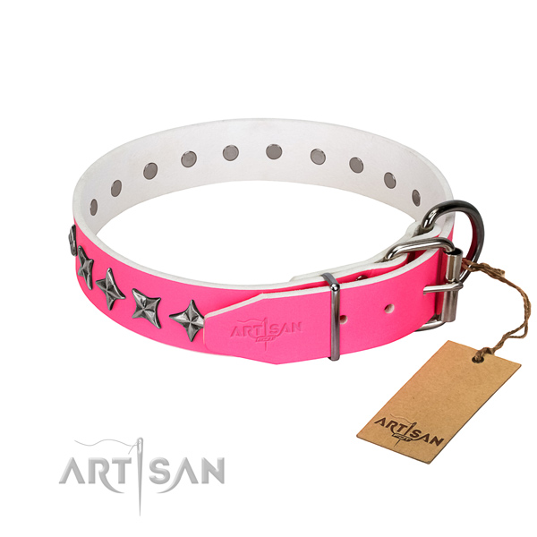 Fine quality full grain leather dog collar with fashionable embellishments