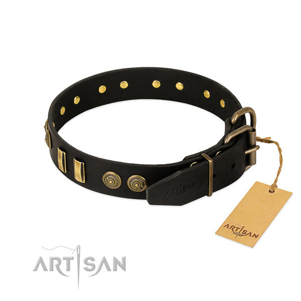 Corrosion resistant adornments on genuine leather dog collar for your four-legged friend