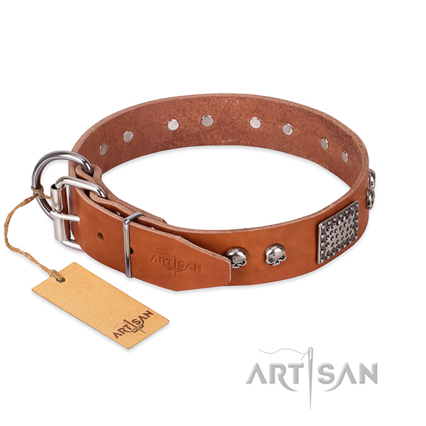 Rust-proof D-ring on comfy wearing dog collar