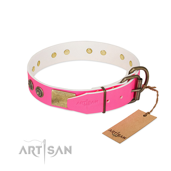 Rust resistant fittings on genuine leather collar for stylish walking your doggie