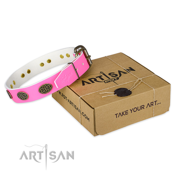 Embellished full grain genuine leather dog collar for stylish walks