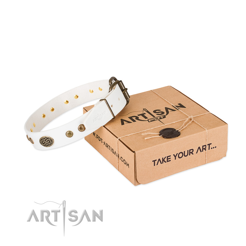 Reliable D-ring on full grain leather dog collar for your dog