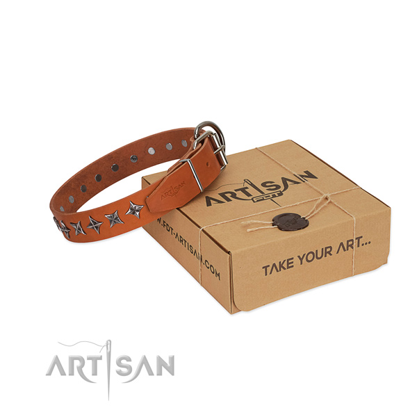 Easy wearing dog collar of top notch leather with studs