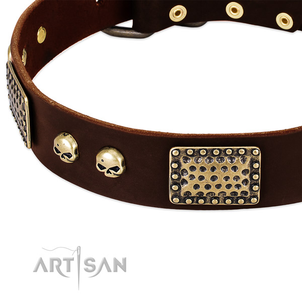 Durable adornments on genuine leather dog collar for your pet