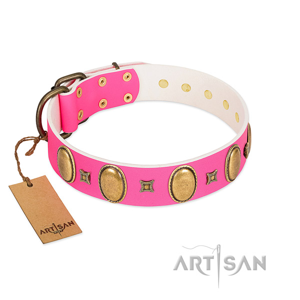 Leather dog collar with unusual embellishments for stylish walking