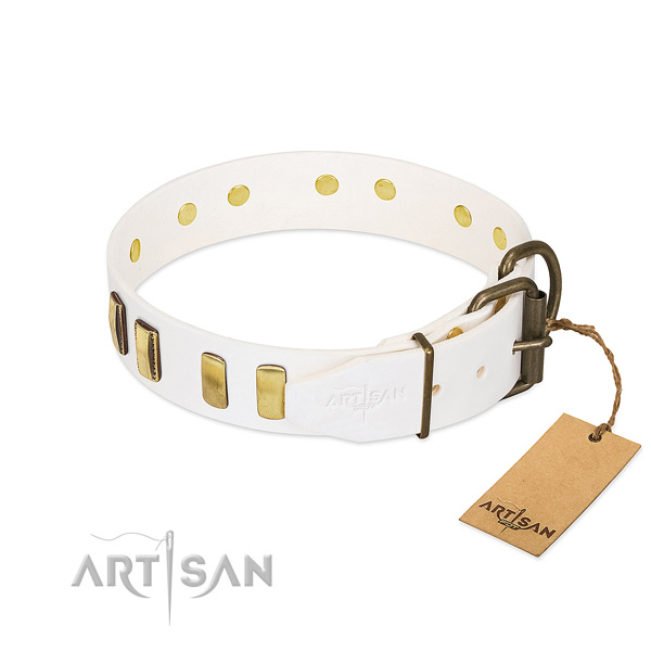 Reliable natural leather dog collar with reliable fittings