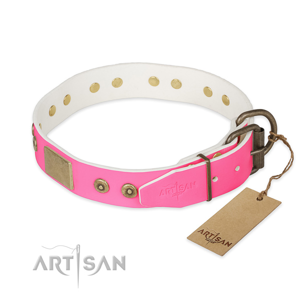 Corrosion resistant studs on easy wearing dog collar