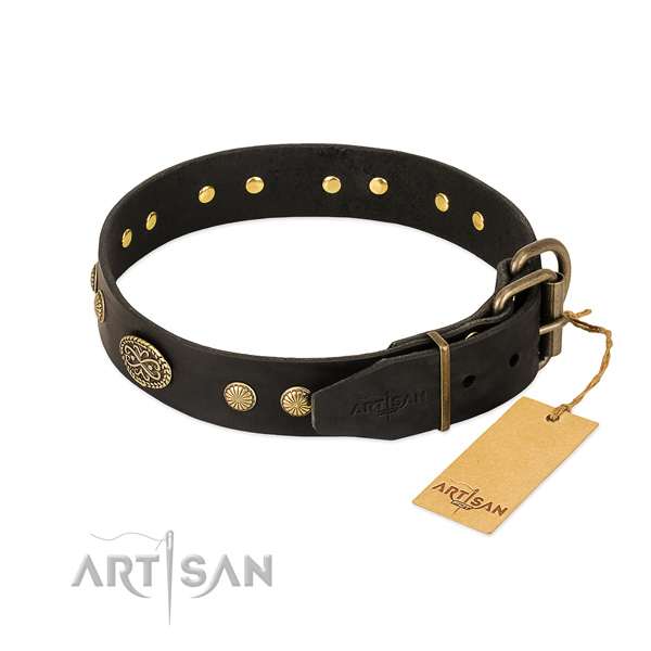 Strong embellishments on natural leather dog collar for your dog