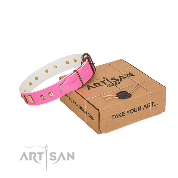Full grain genuine leather dog collar totally safe for everyday walking