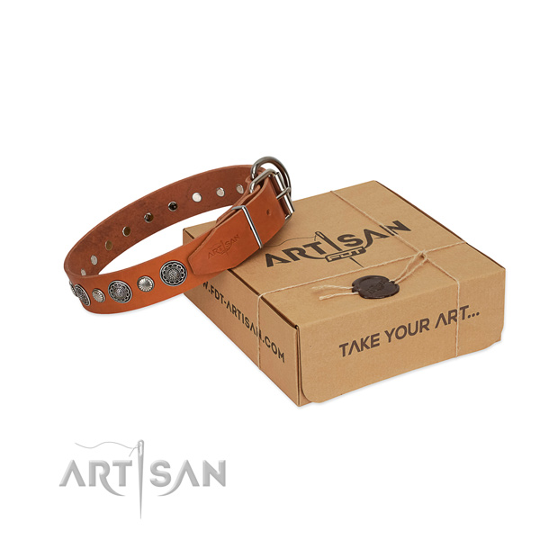 Durable full grain natural leather dog collar with remarkable embellishments