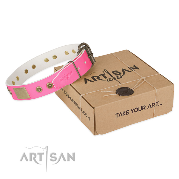 Durable buckle on dog collar for basic training