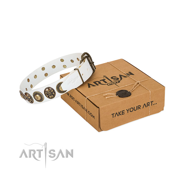 Reliable studs on dog collar for everyday walking