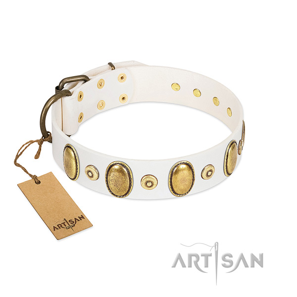 Top rate full grain genuine leather collar crafted for your four-legged friend
