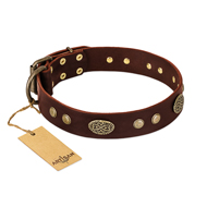 "Old-fashioned Glamor" FDT Artisan Brown Leather Mastiff Collar with Old Bronze Look Plates and Circles "Old-fashioned Glamor" FDT Artisan Brown Leather Mastiff Collar with Old Bronze Look Plates and Circles