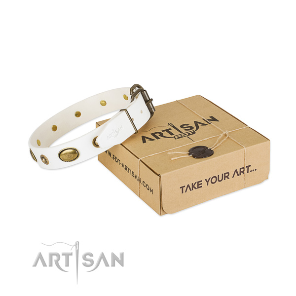 Adorned leather collar for your lovely doggie