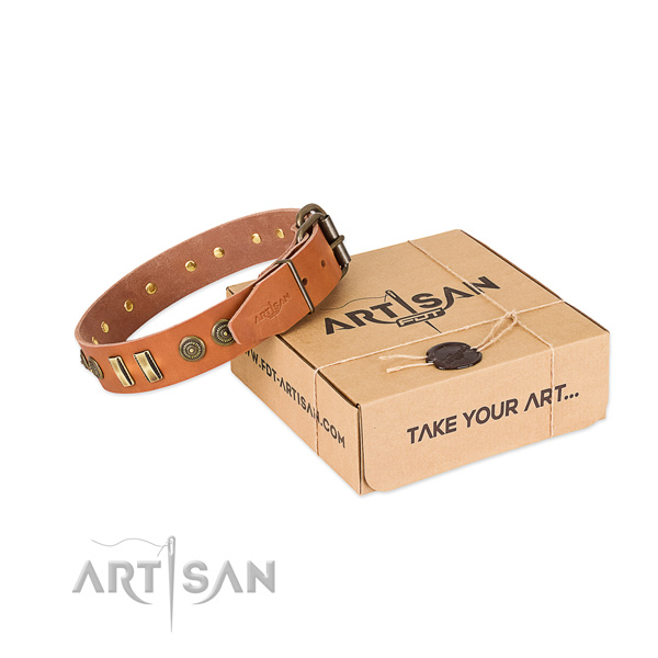 Strong adornments on full grain leather dog collar for your doggie